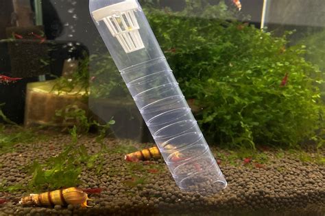 魚缸 換水|養魚要換水嗎？4種換水方式完整教學 